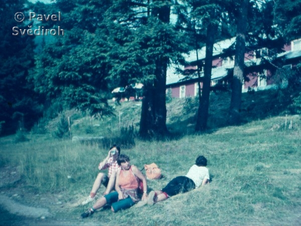 Autem za krsami Slovenska 1981